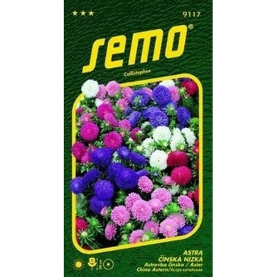 Semo Astra Čínska nízka Colour Carpet - zmes 0,5 g