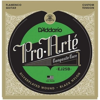 D'ADDARIO EJ25B