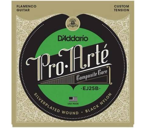 D'ADDARIO EJ25B
