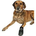 TRIXIE Обувки за кучета Walker, защитни - XXL/2бр