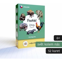 Postřeh! Zvířata