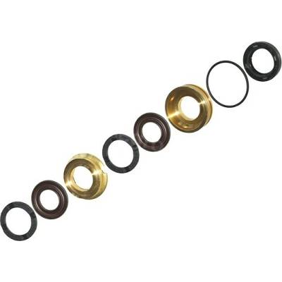 Seals kit DN18 HAWK SST with brass