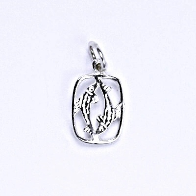 Čištín Stříbrný přívěšek,znamení ryby P 730