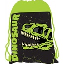 Karton P+P Premium Dinosaurus