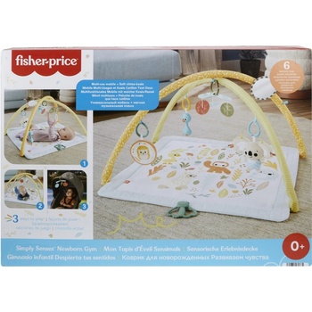 Fisher Price hrací dečka se senzorickými hračkami