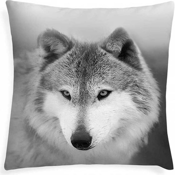 Xpose vlk 3 digitálna tlač 40 x 40 cm