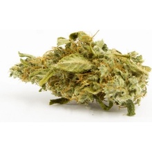 Cannapio Wellness Indoor CBD Květy do 1% THC 1g