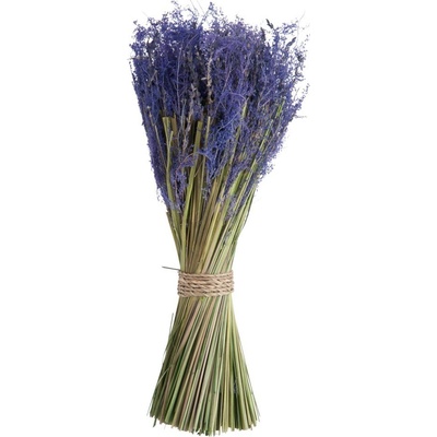 Dekorace svazek levandule Lavender - 40 cm - J-Line by Jolipa