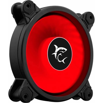 White Shark DASH 1260-01W-R