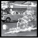 RAGE AGAINST THE MACHINE: RAGE AGAINST THE MACHINE - XX CD