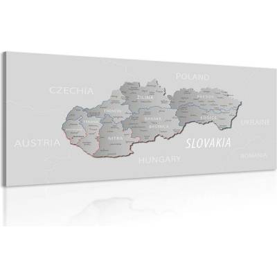 Obraz šedá mapa Slovenska s decentním kontrastem - 60x30