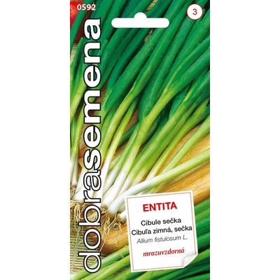 CIBUĽA OZIMNÁ Entita sečka