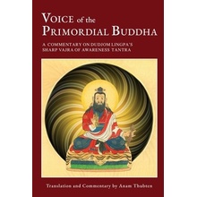 Voice of the Primordial Buddha: A Commentary on Dudjom Lingpas Sharp Vajra of Awareness Tantra Thubten AnamPaperback