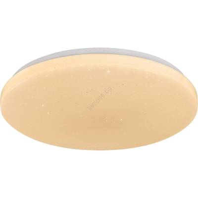 Rábalux 71447 - LED димируем плафон DANNY 2 LED/60W/230V 3000-6500K диаметър 58 см + дистанционно управление (RL71447)