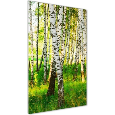 Vertikálny fotoobraz na skle Brezový les 50x100 cm