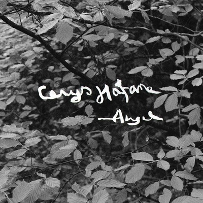 Cerys Hafana - Angel (Bio Coloured) (LP) (4030433617816)
