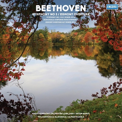Various Beethoven Vinyl