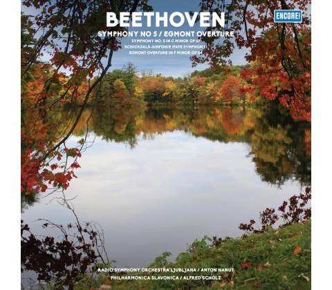 Various Beethoven Vinyl
