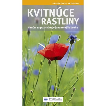 Kvitnúce rastliny