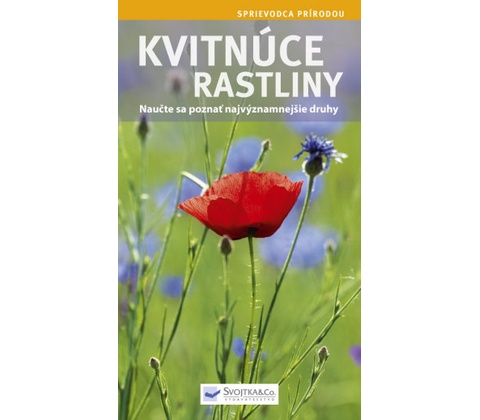 Kvitnúce rastliny