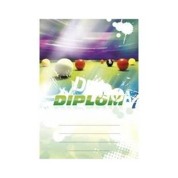 Diplom 6667