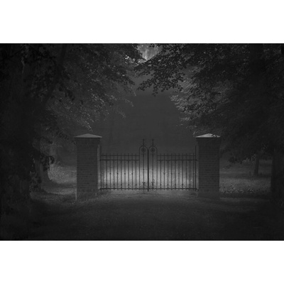 Plagát, Obraz - Far but no further, Allan Wallberg, 40 × 26.7 cm