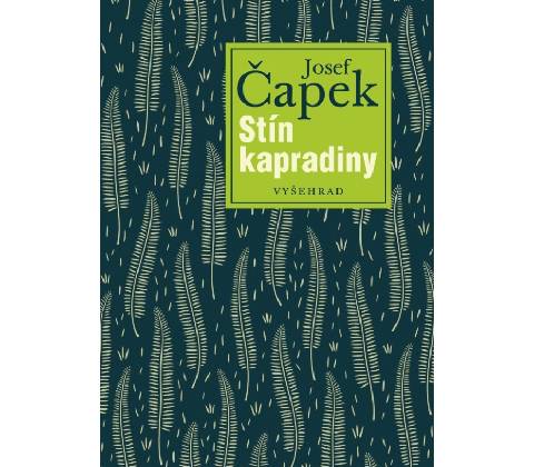 Stín kapradiny