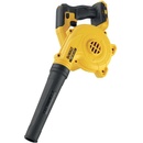 DeWalt DCV100
