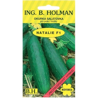 Okurka salát. Holman NATALIE