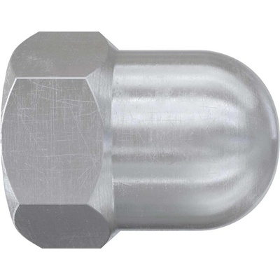 Fischer FAZ II Plus M12 569128 klobúčikové matice M12 ocel galvanicky potiahnuté 20 ks