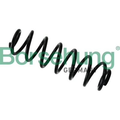 Pružina podvozku Borsehung B12623