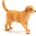 Animal Planet Mojo ANIMAL PLANET, Фигурка за игра и колекциониране, Кученце, Голдън ретривър