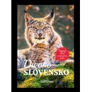 Divoké Slovensko