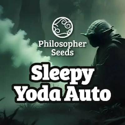Philosopher Seeds Sleepy Yoda AUTO semena neobsahují THC 5 ks