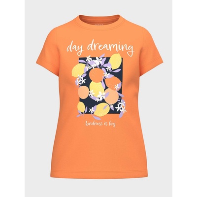 NAME IT Тениска nkfjanine ss top pb