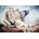 Grafika Art Puzzle - Puzzle Delon: Prisoner - 1 000 piese