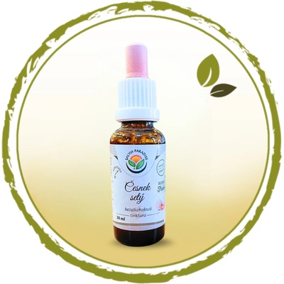 Salvia Paradise Česnek setý AF tinktura 30 ml