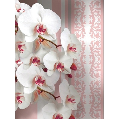 Preinterier Fototapeta panel - PL0124 - Biele kvety vlies - 206cm x 275cm