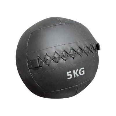 Truesteel Wall Ball 11 kg