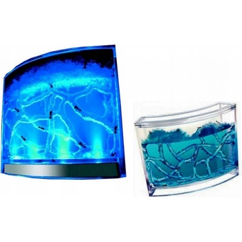 Mravčia farma s podsvietením