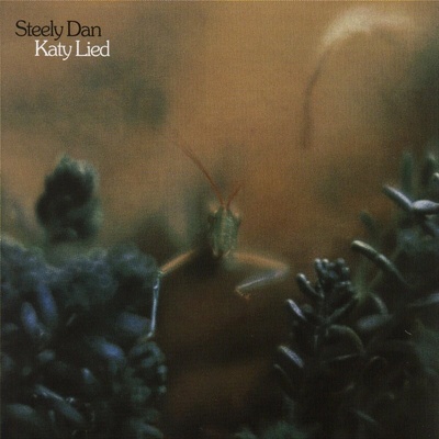STEELY DAN: KATY LIED CD