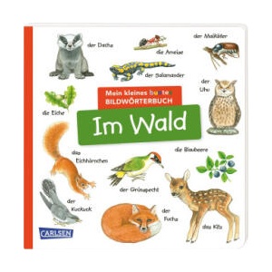 Mein kleines buntes Bildwörterbuch: Im Wald | Christine Henkel (ISBN: 9783551173027)