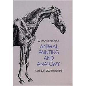 Animal Painting and Anatomy | Frank Calderon (2011)