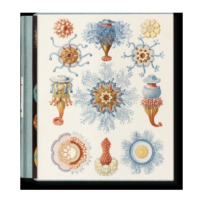 The Art and Science of Ernst Haeckel - Rainer Willmann, Julia Voss