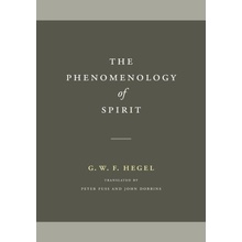 The Phenomenology of Spirit