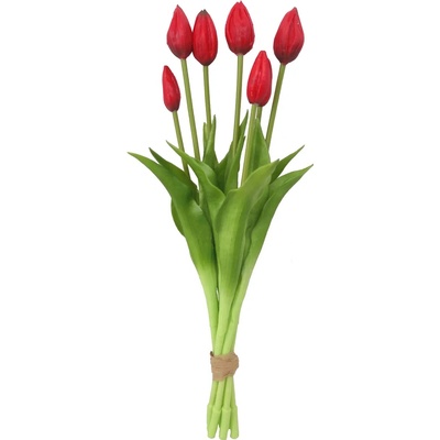 G.Wurm Kytička tulipánov 7 ks červená - Gwurm