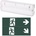 Aigostar - LED Аварийна лампа EMERGENCY EXIT LED/4W/230V IP65 6500K 600mAh (AI1144)