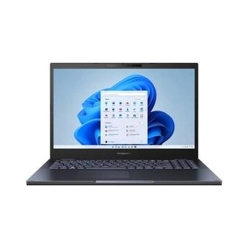 Asus B2502CVA-KJ0649X