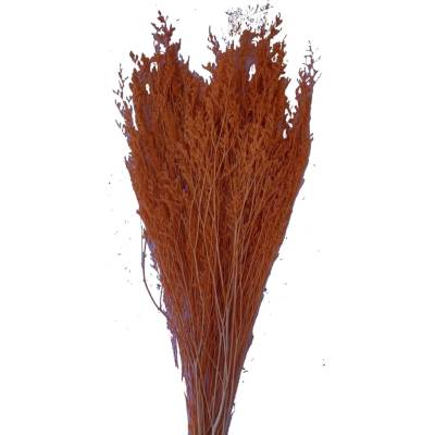 Caspia 100 g - bělená / oranžová
