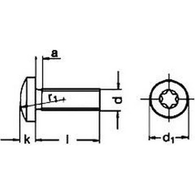 šroub M5x30 A2 NEREZ půlkulatá hlava TORX 25 DIN 7985 ISO 14583 [1 ks] – Hledejceny.cz